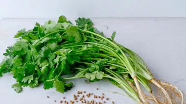 garnishing-instructions-image